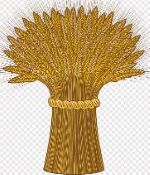 Harvest Prize 2023