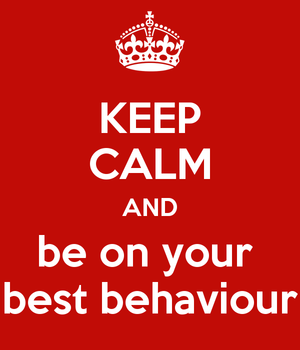 BEST BEHAVIOUR AT BRIDGE