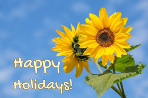 BRIDGE CLUB HOLIDAY 2025